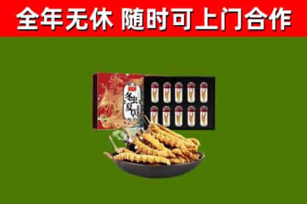 常州回收冬虫夏草价格